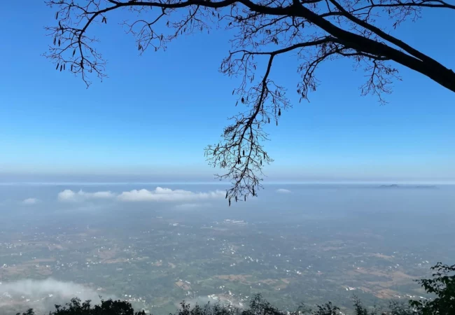 Yelagiri Hills