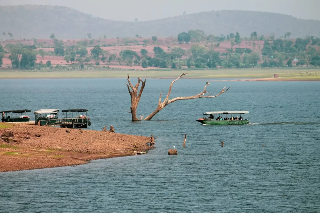 kabini wildlife