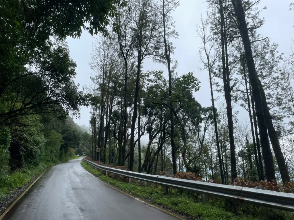 Chikmagalur mountain roads