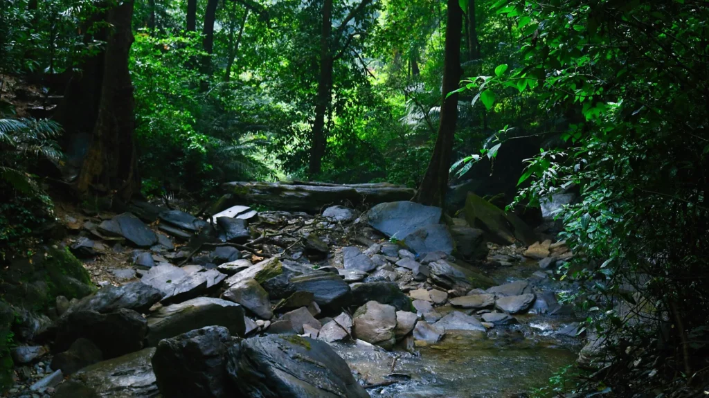 agumbe ghat