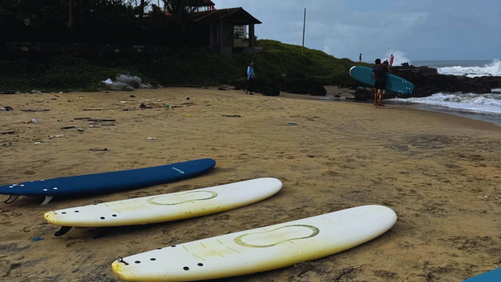 Learn surfing in Varkala