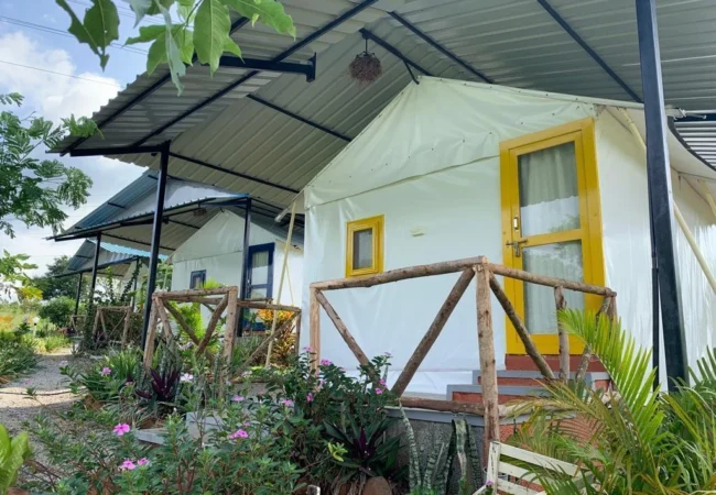 Wilderness Jungle Camp