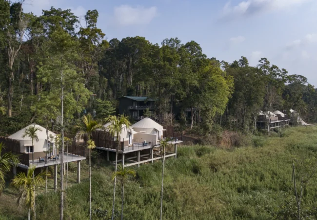 Luxury Machaan Eyebird view