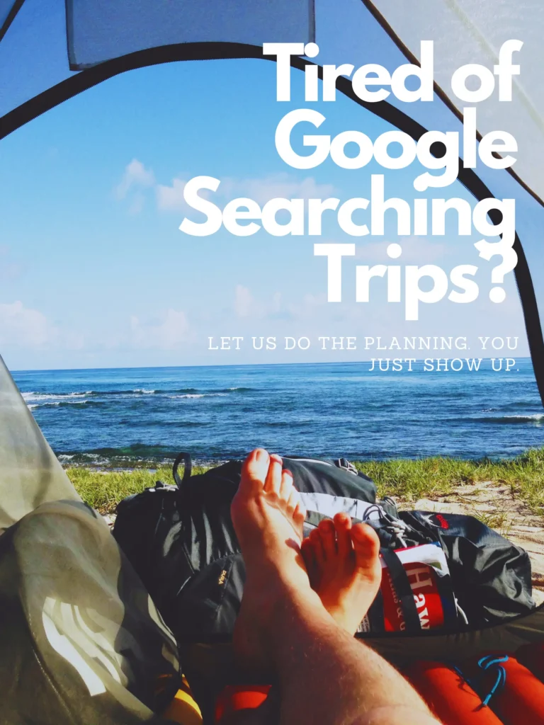 Curated by Local Experts
