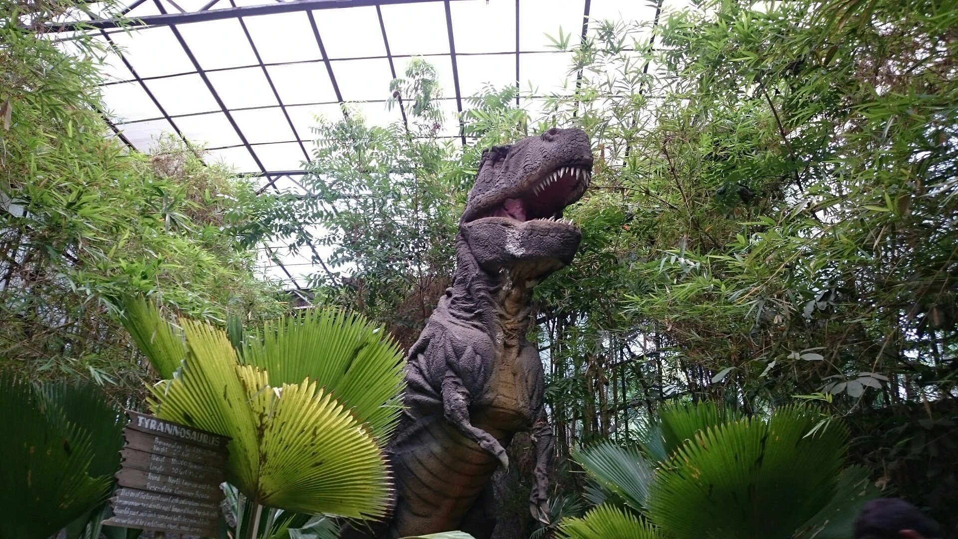Innovative Film City