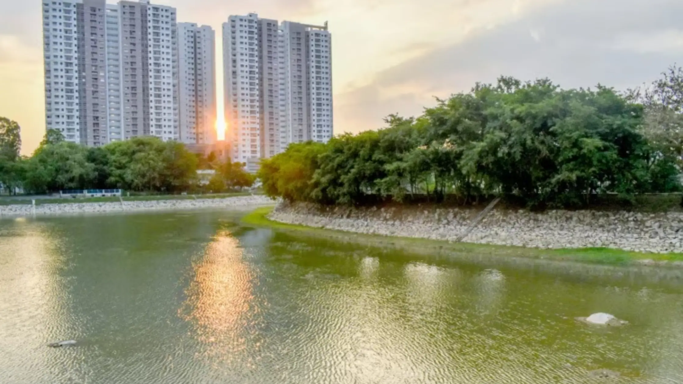 Basavanapura Lake