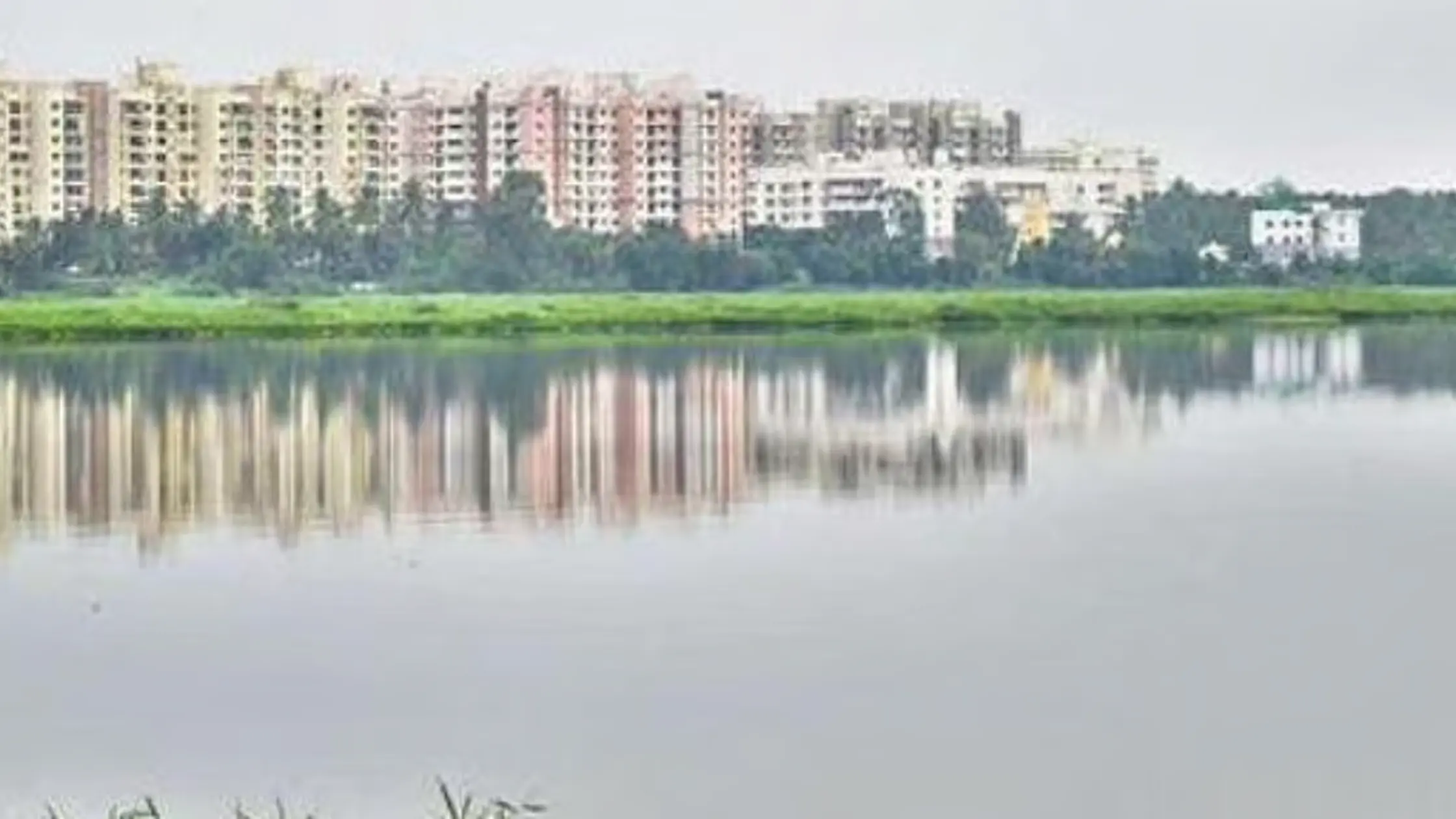 Bellandur Lake