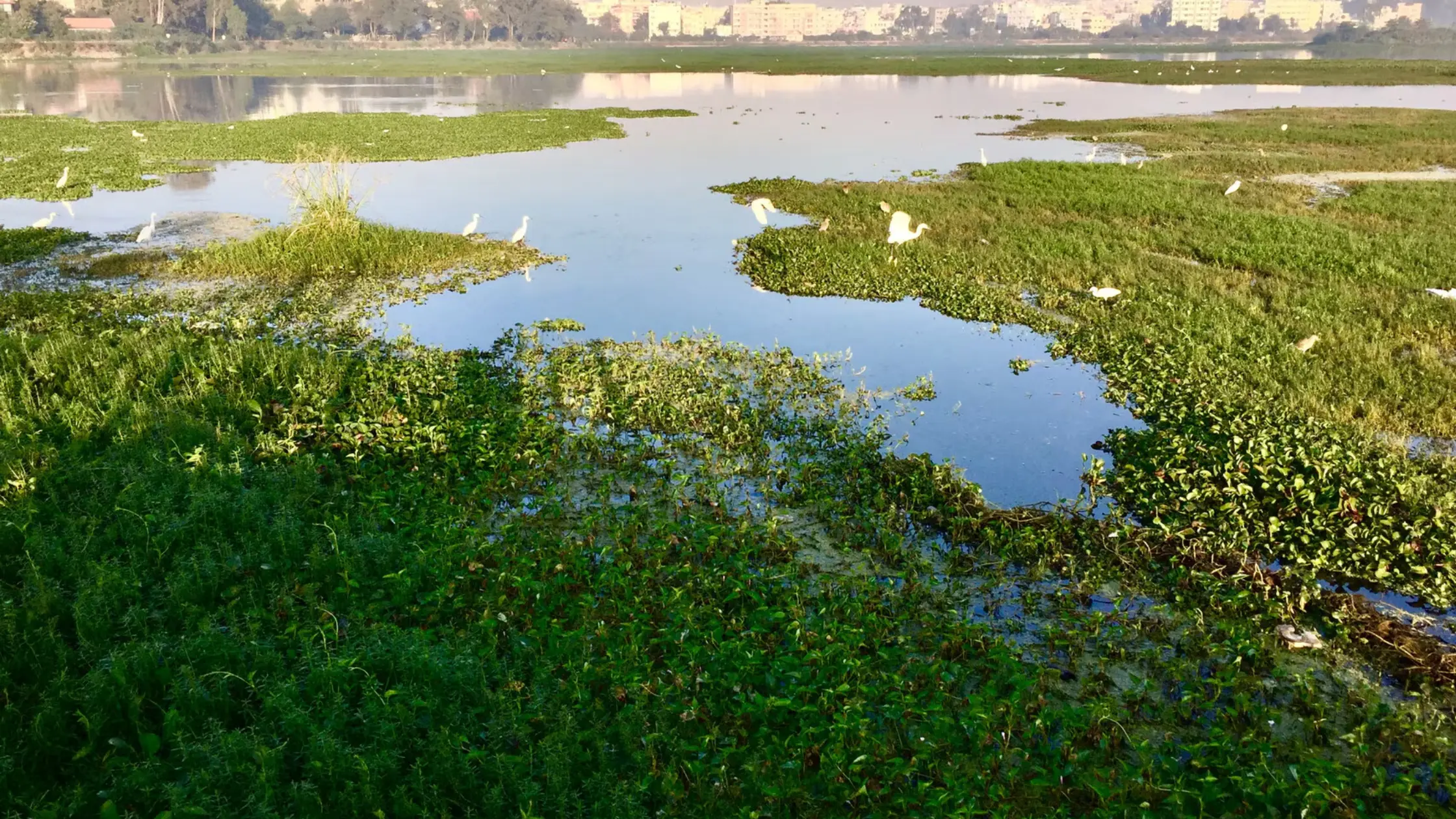 Doddanekundi Lake