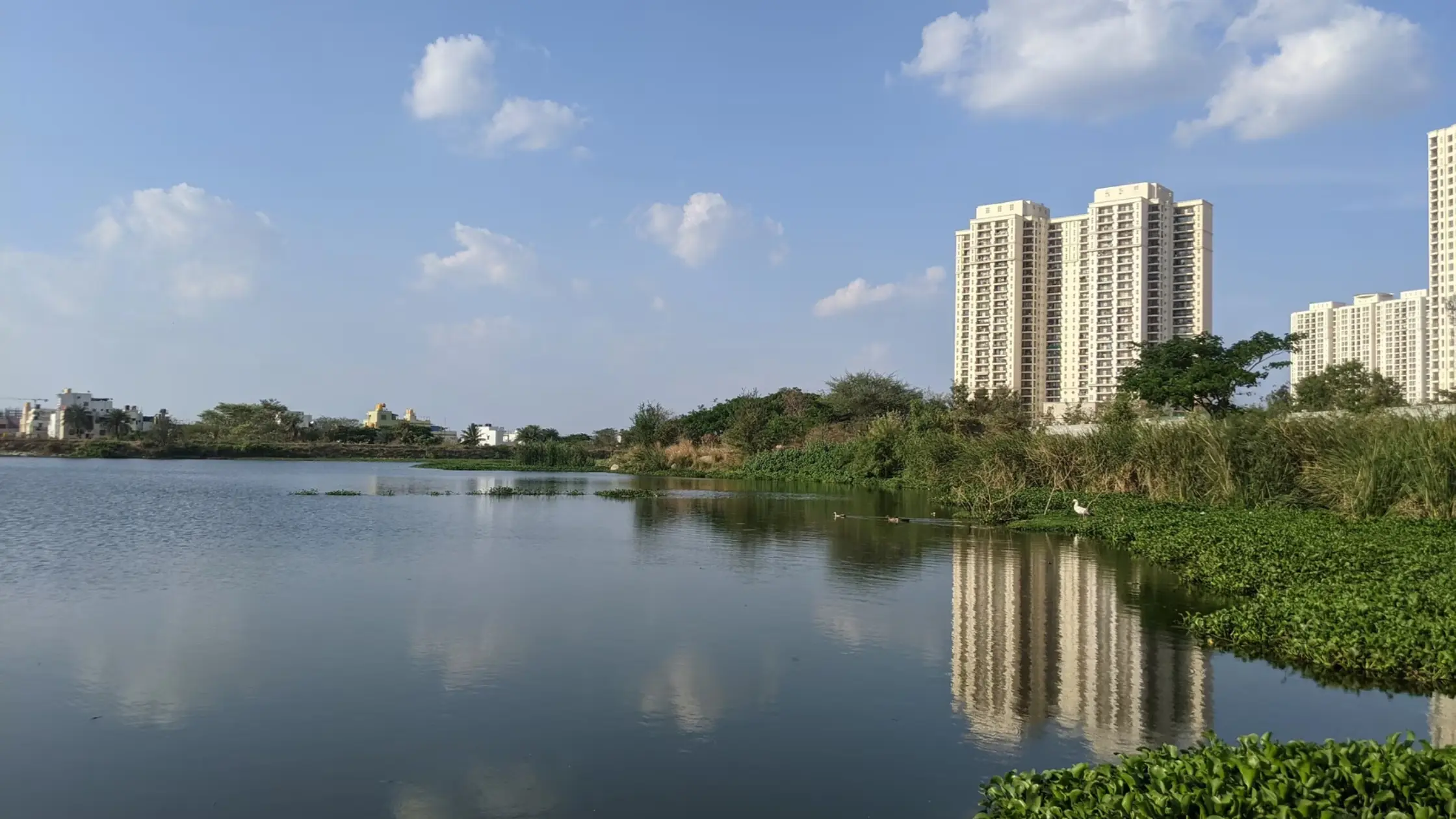 Hulimavu Lake
