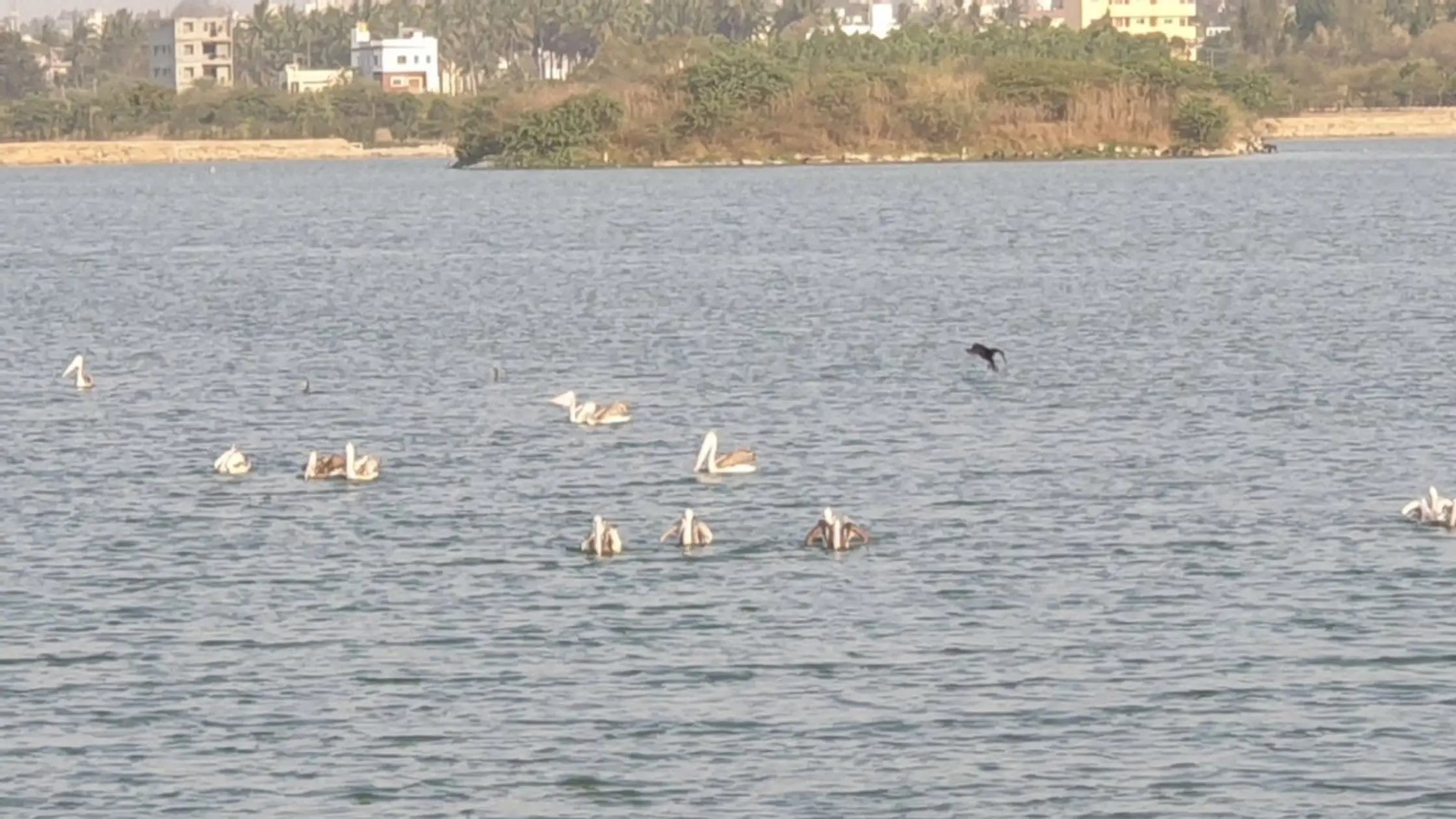 Kalkere Lake