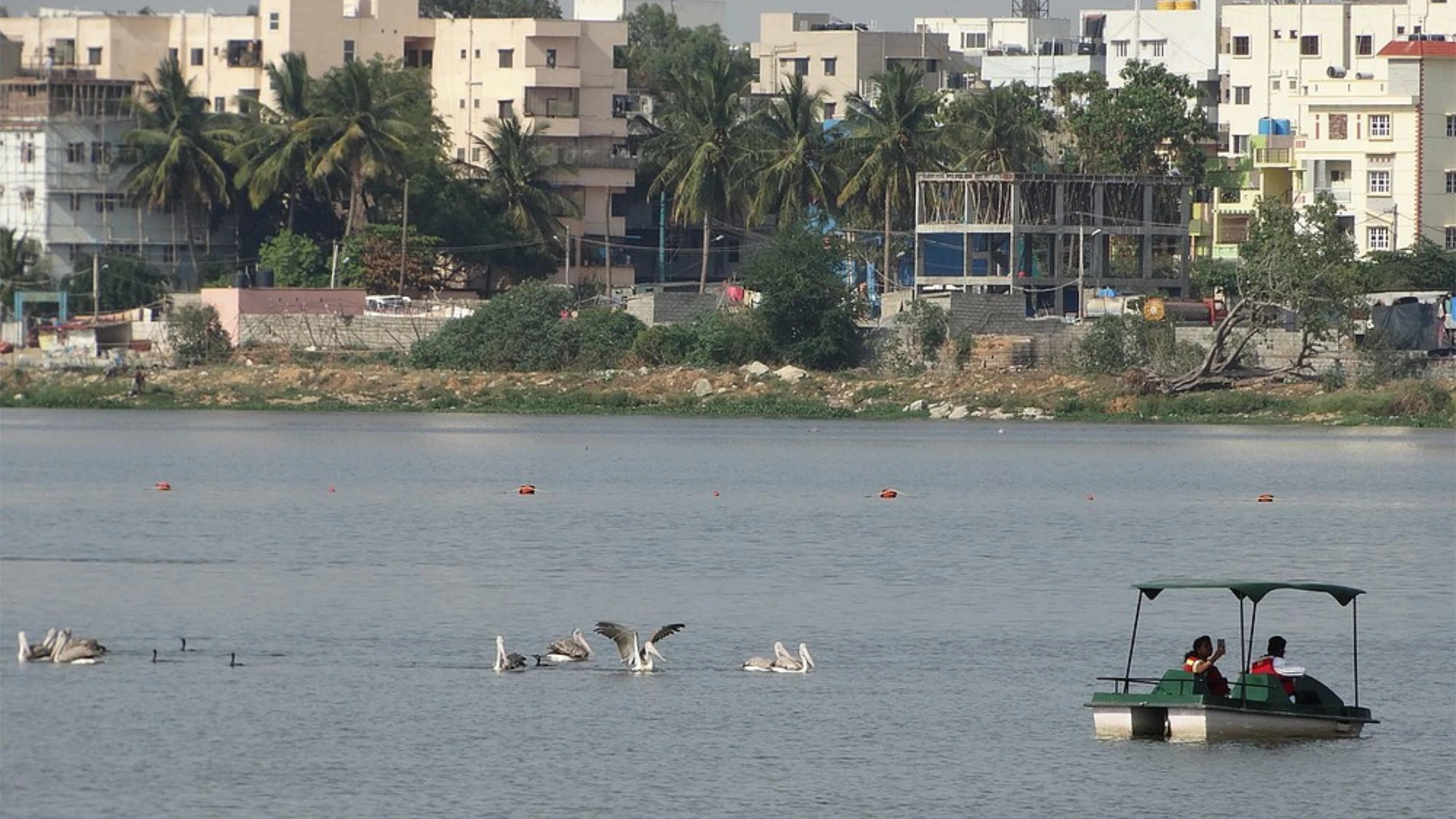 Madivala Wetland