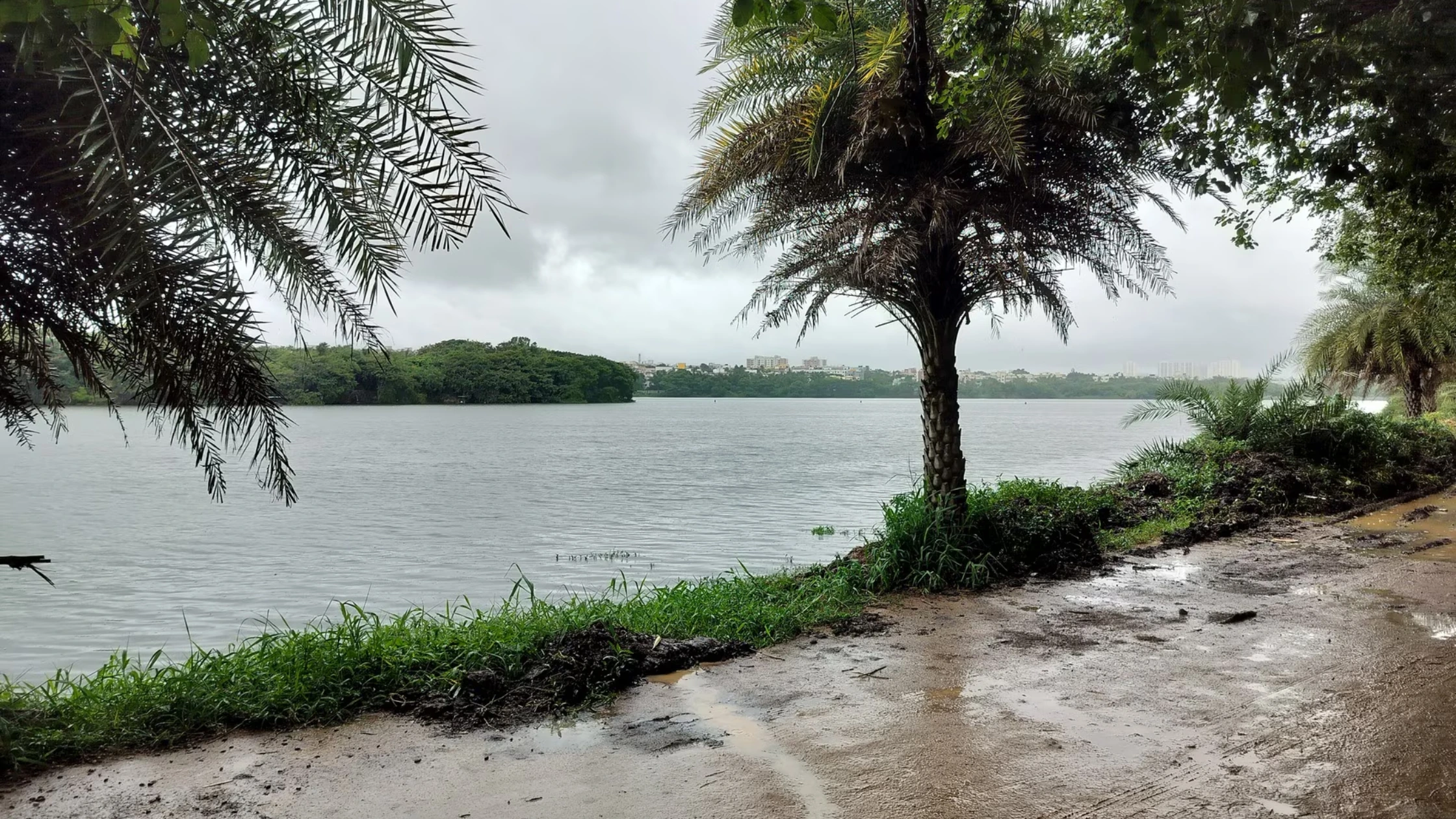 Madiwala Lake