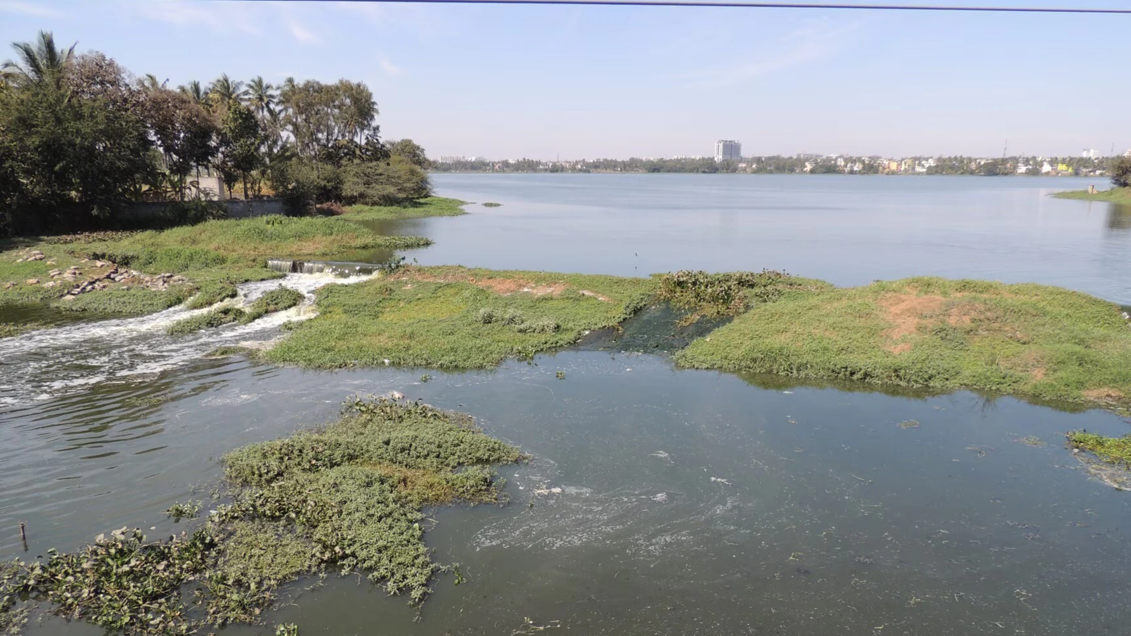 Varthur Lake