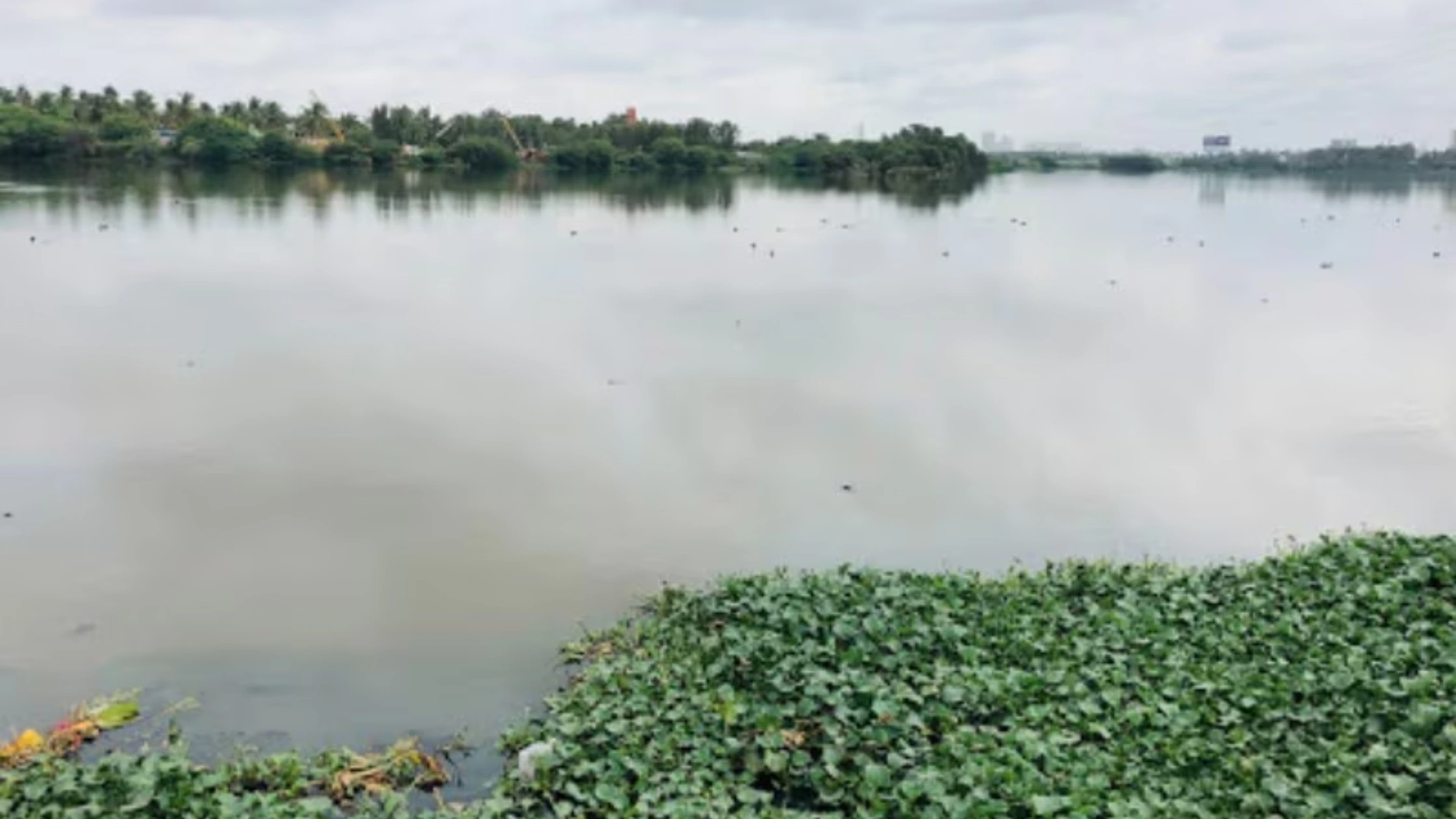 Yele Mallappa Shetty Lake